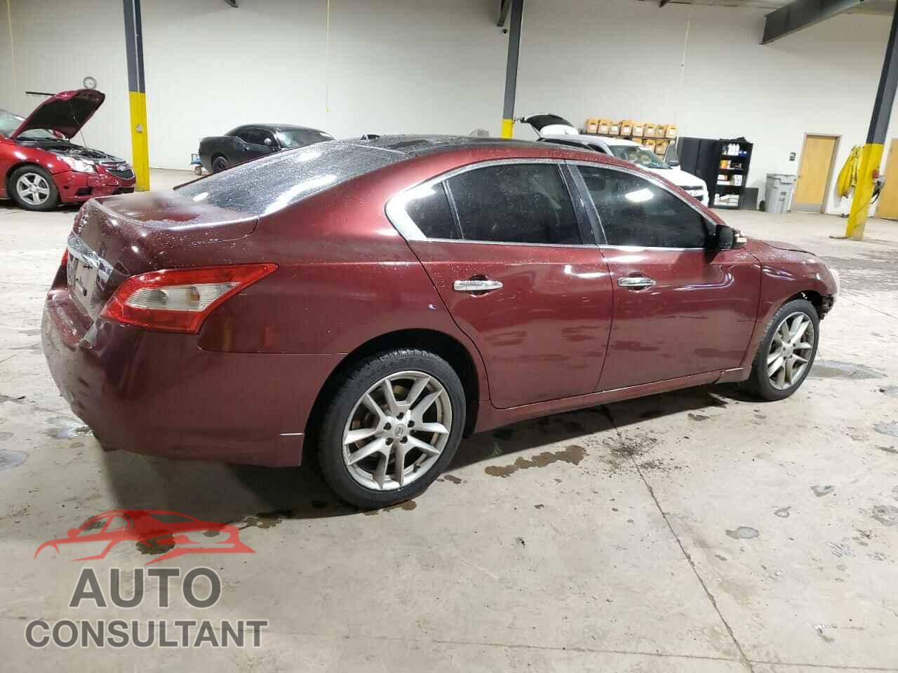 NISSAN MAXIMA 2011 - 1N4AA5AP7BC820075