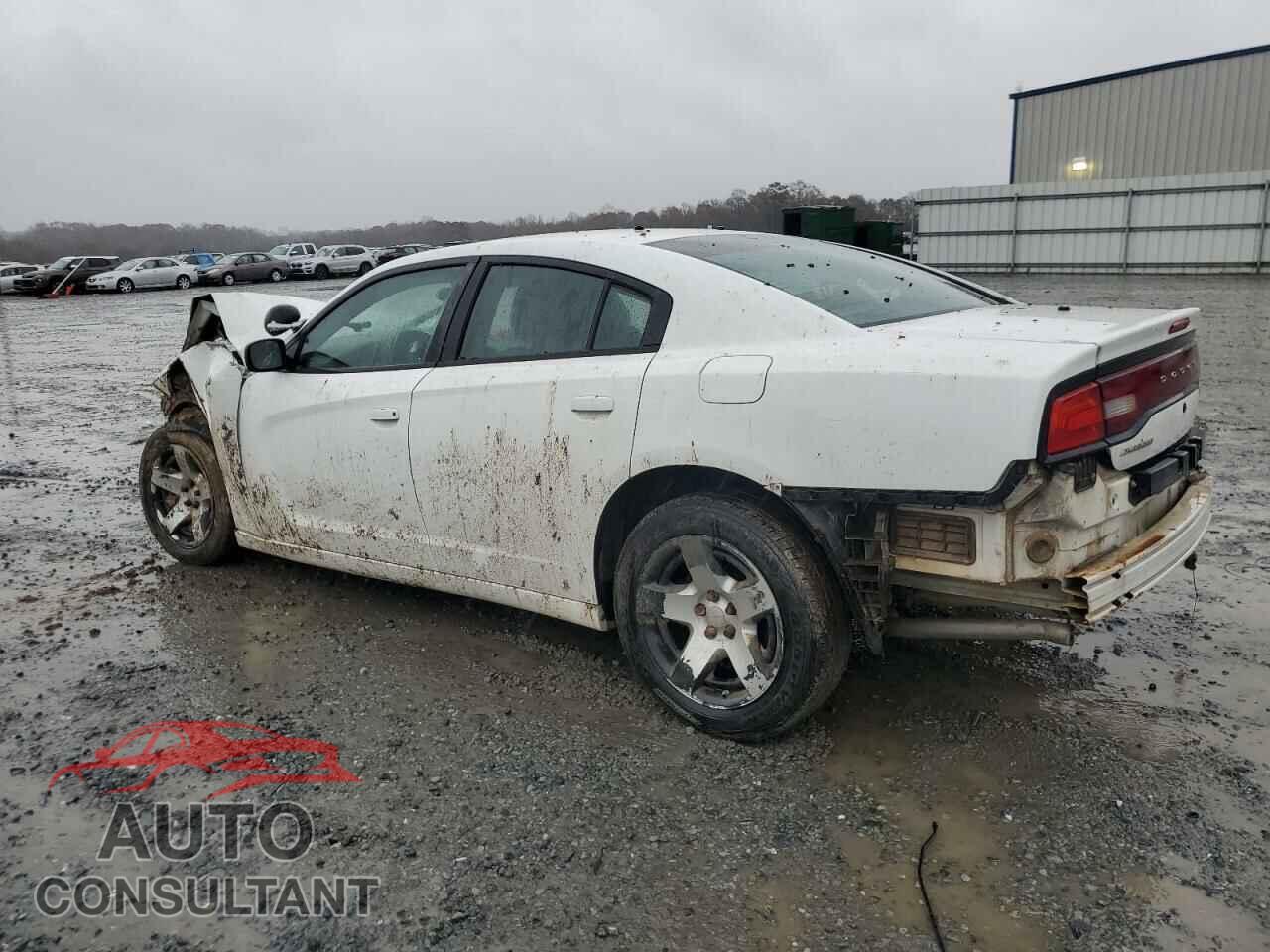 DODGE CHARGER 2013 - 2C3CDXAT2DH721090