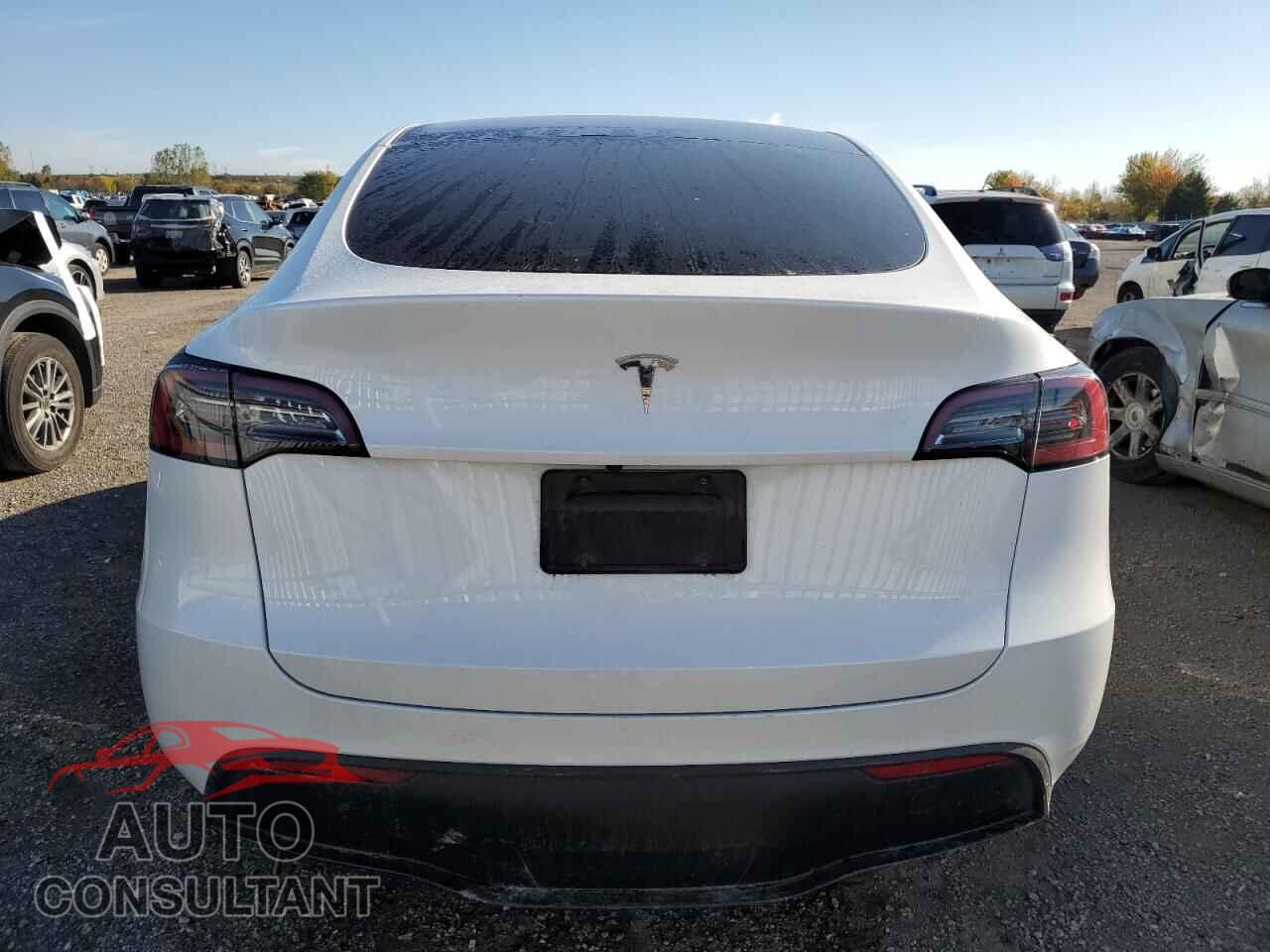 TESLA MODEL Y 2023 - LRWYGDFD2PC967392