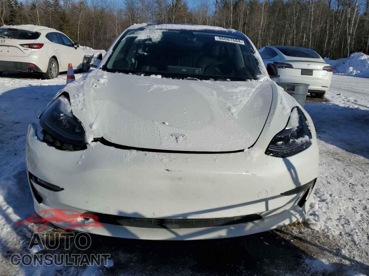 TESLA MODEL 3 2021 - 5YJ3E1EA9MF981703