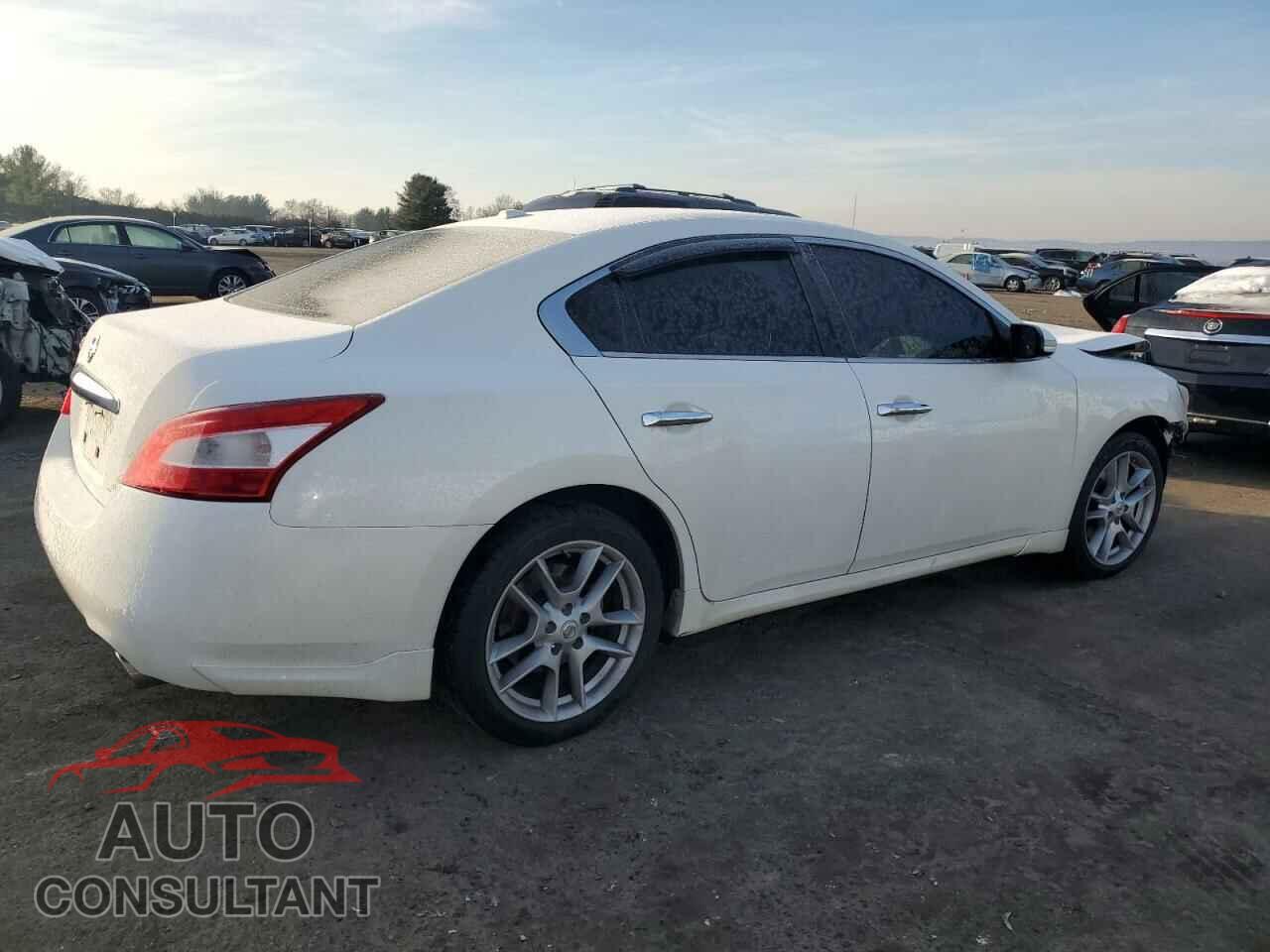 NISSAN MAXIMA 2011 - 1N4AA5AP1BC821111