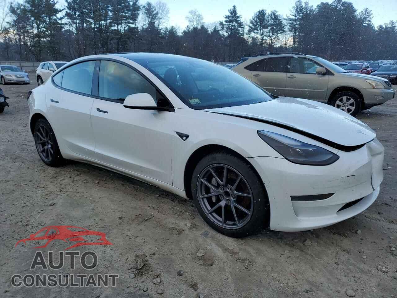 TESLA MODEL 3 2021 - 5YJ3E1EA9MF961256