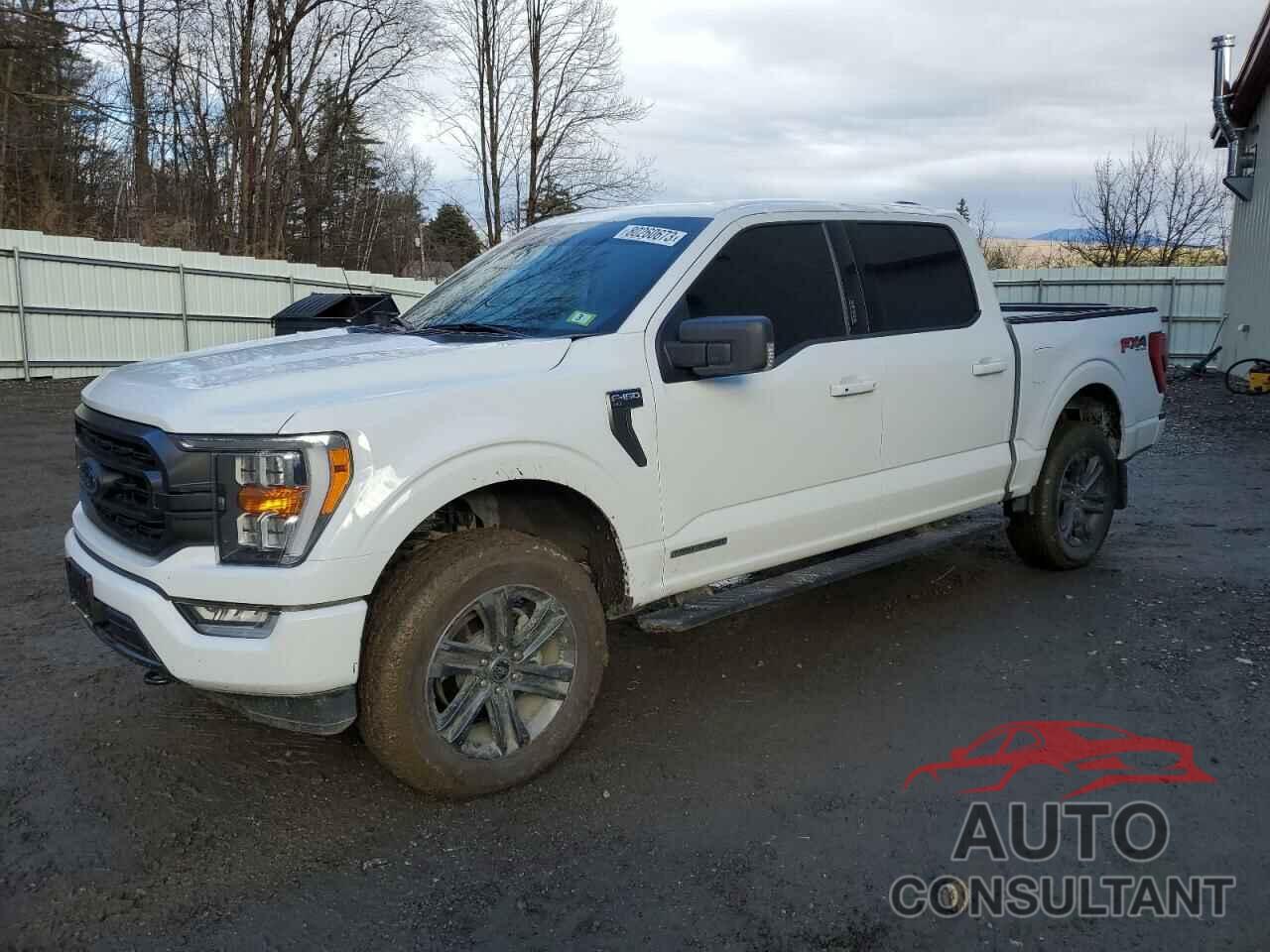 FORD F-150 2023 - 1FTFW1ED8PFA14830