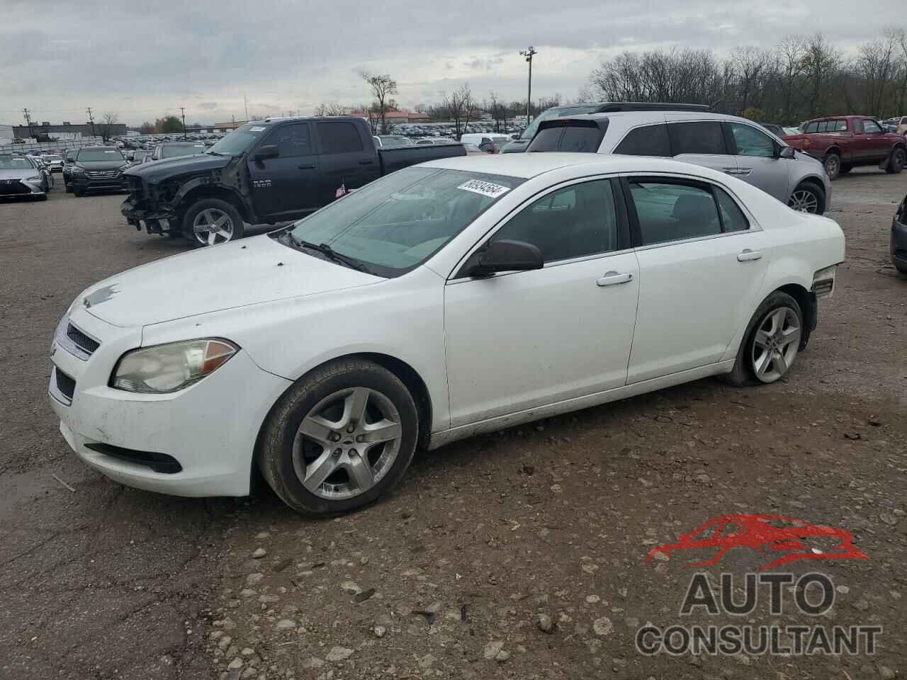 CHEVROLET MALIBU 2010 - 1G1ZA5E04A4148486