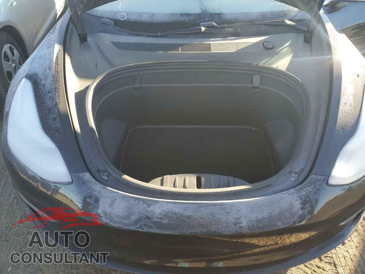 TESLA MODEL 3 2019 - 5YJ3E1EB2KF195683