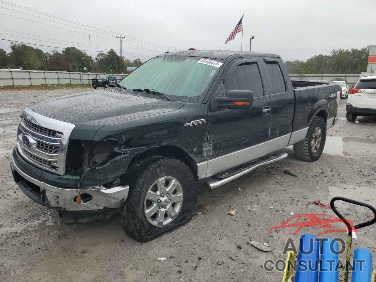 FORD F-150 2013 - 1FTFX1EF2DFC25774