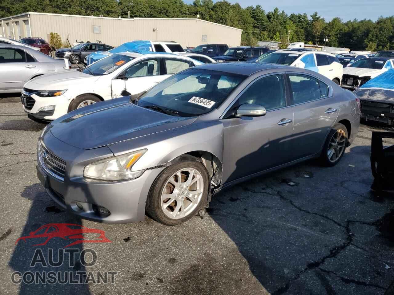NISSAN MAXIMA 2009 - 1N4AA51E79C856485