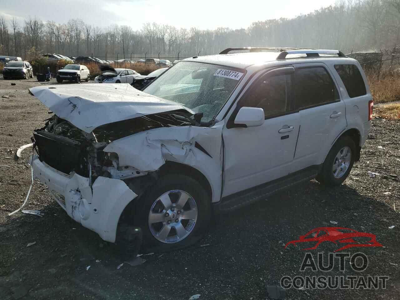 FORD ESCAPE 2011 - 1FMCU0E73BKA79416
