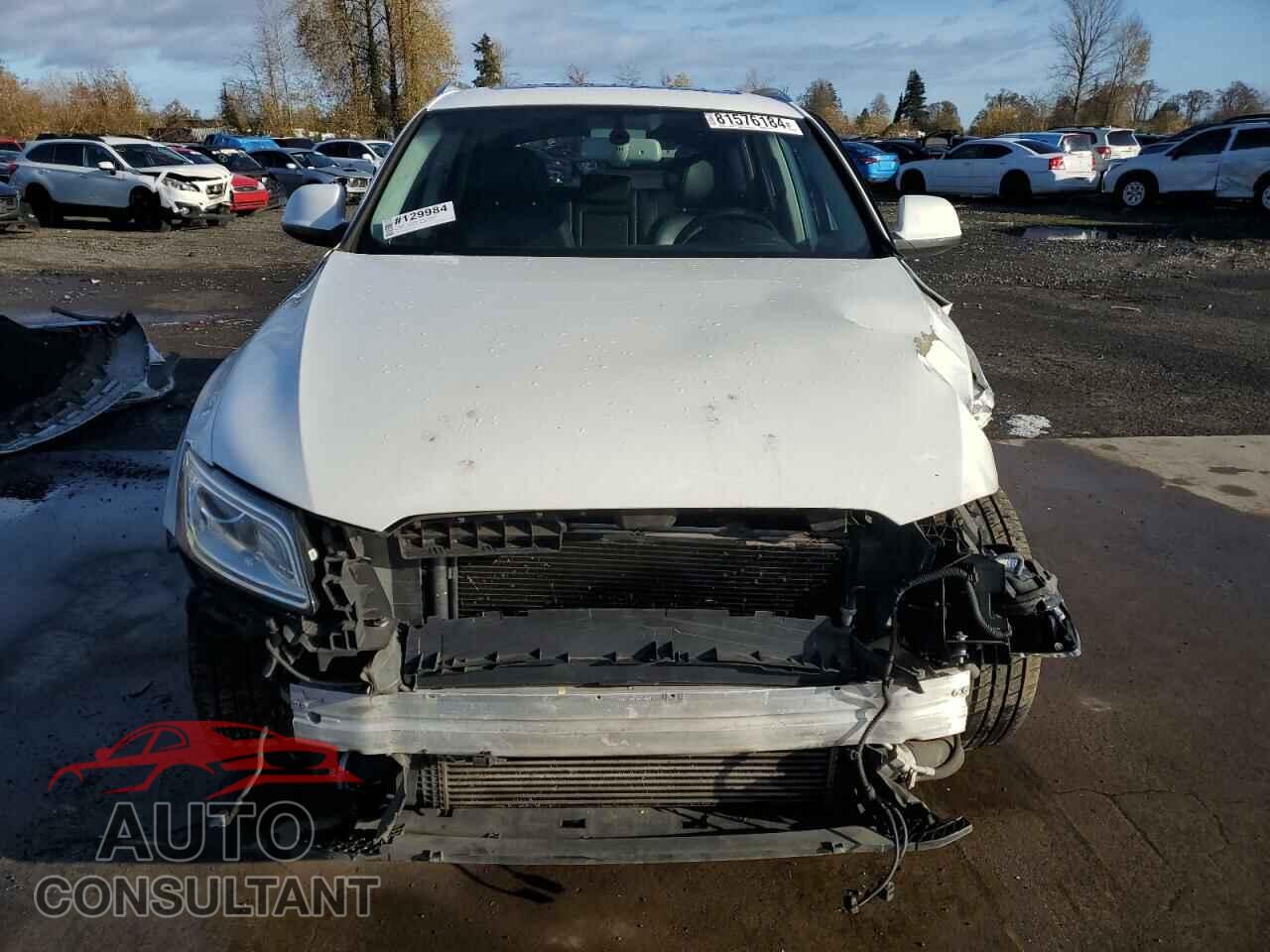 AUDI Q5 2013 - WA1LFAFPXDA054194