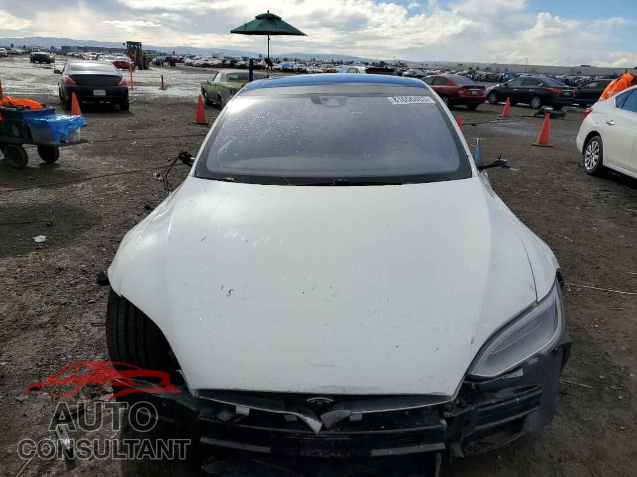 TESLA MODEL S 2016 - 5YJSA1E24GF159654