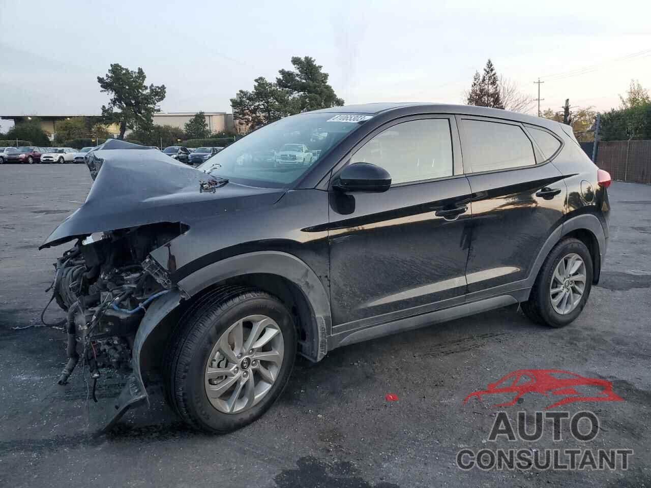 HYUNDAI TUCSON 2017 - KM8J23A40HU568749