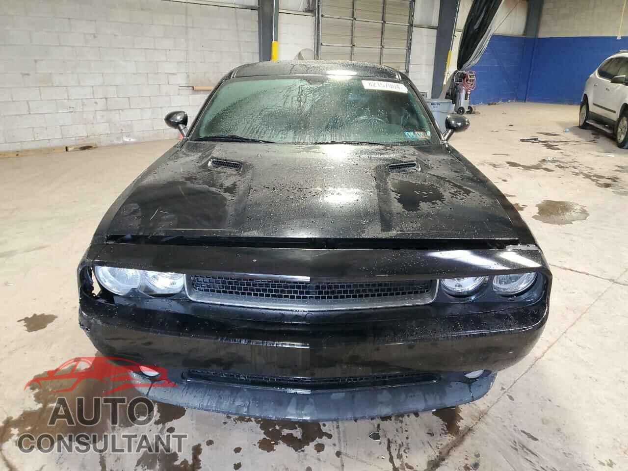 DODGE CHALLENGER 2013 - 2C3CDYAG5DH725000