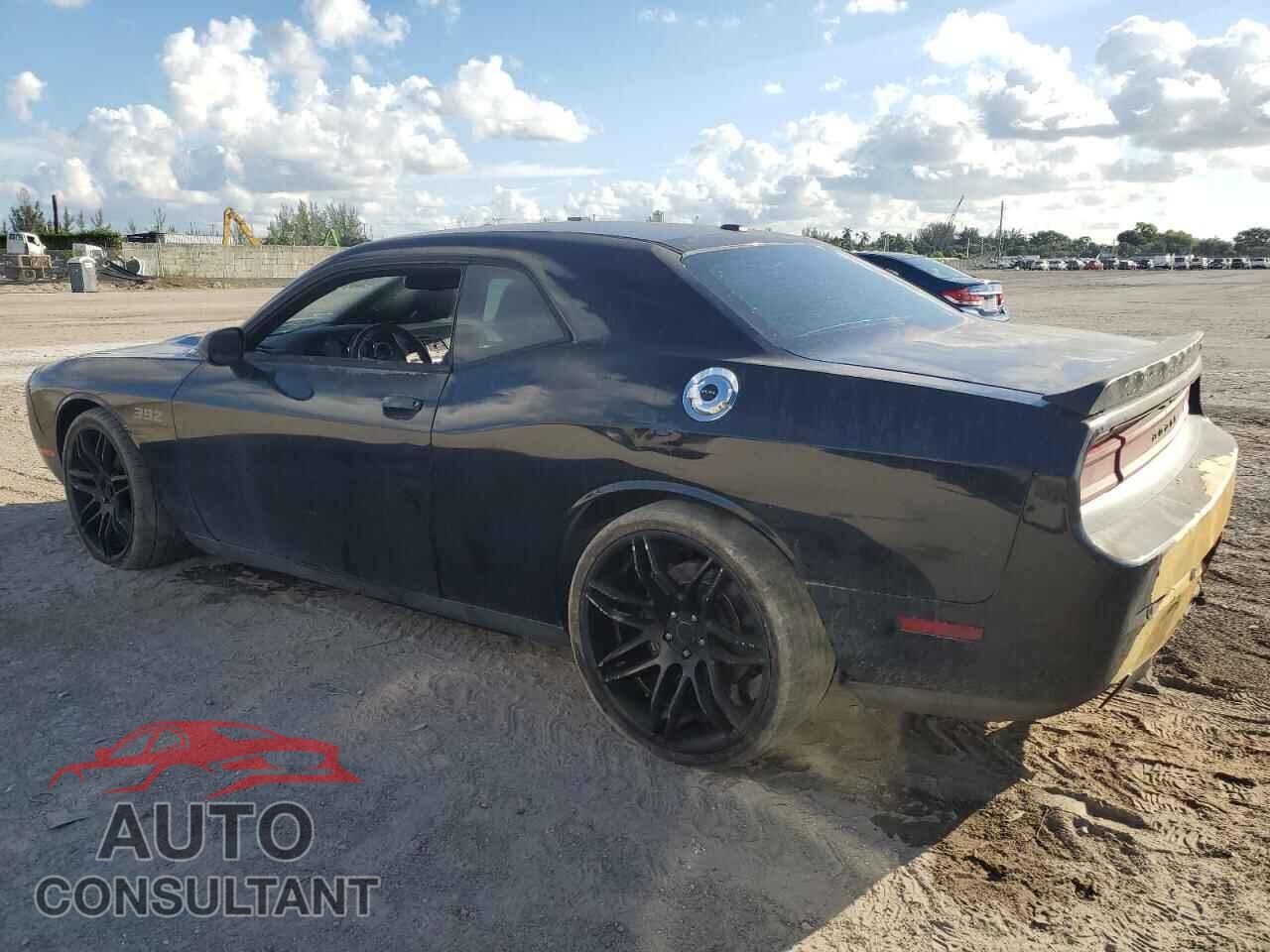 DODGE CHALLENGER 2013 - 2C3CDYDJ6DH687977