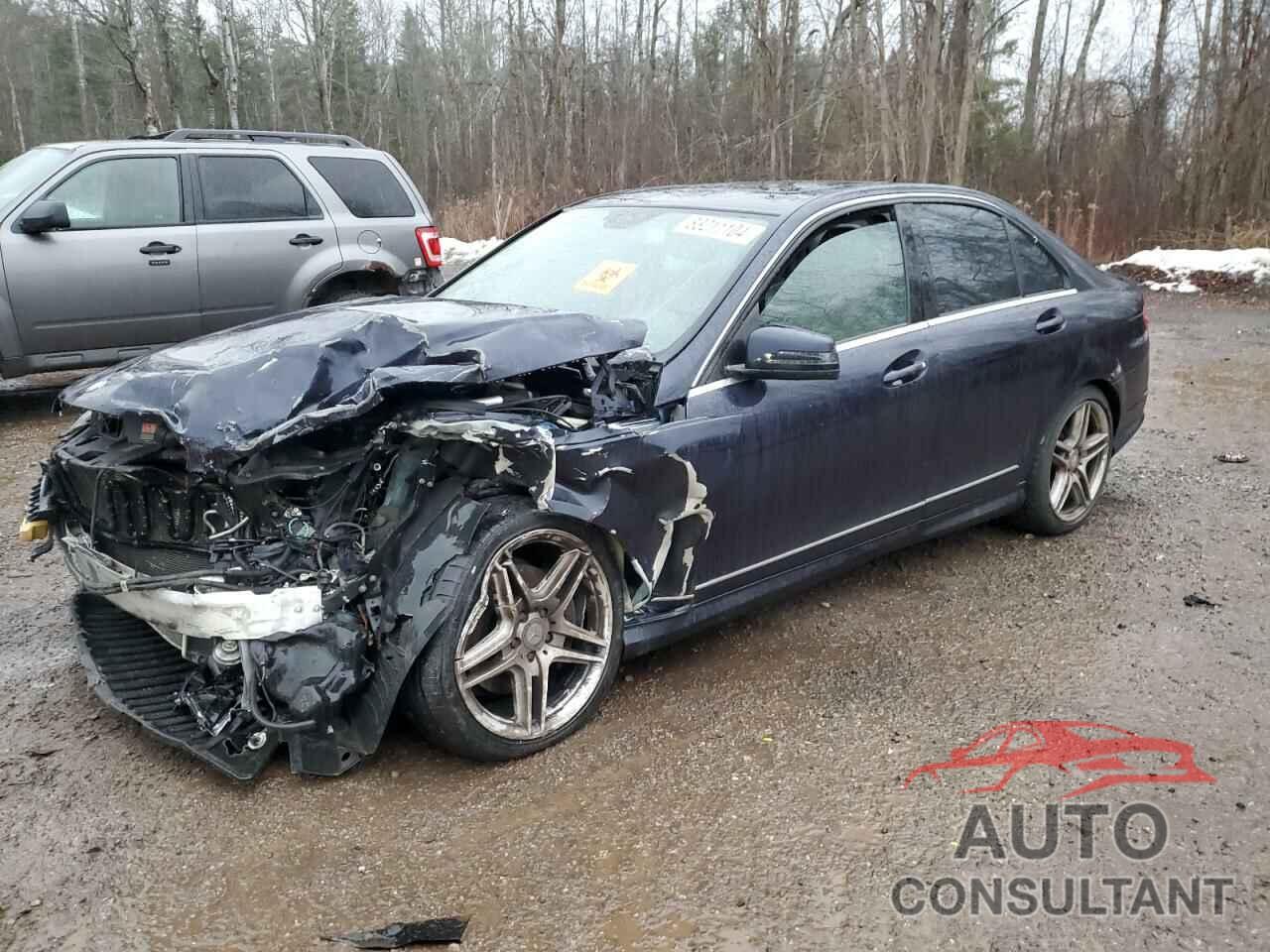 MERCEDES-BENZ C-CLASS 2010 - WDDGF8BB6AF473299