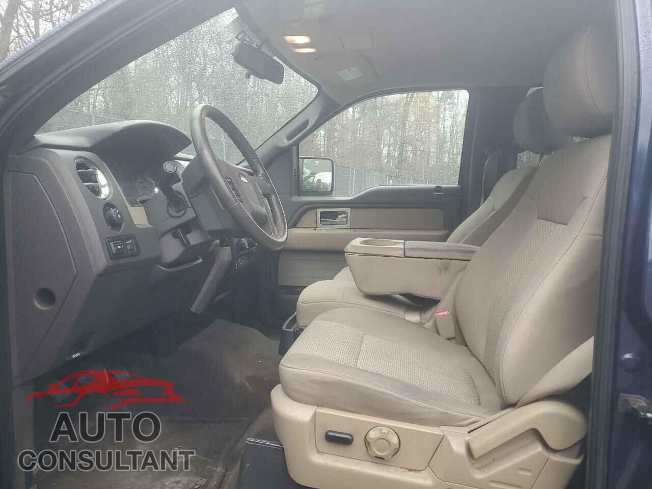 FORD F-150 2010 - 1FTEW1C88AFD08611