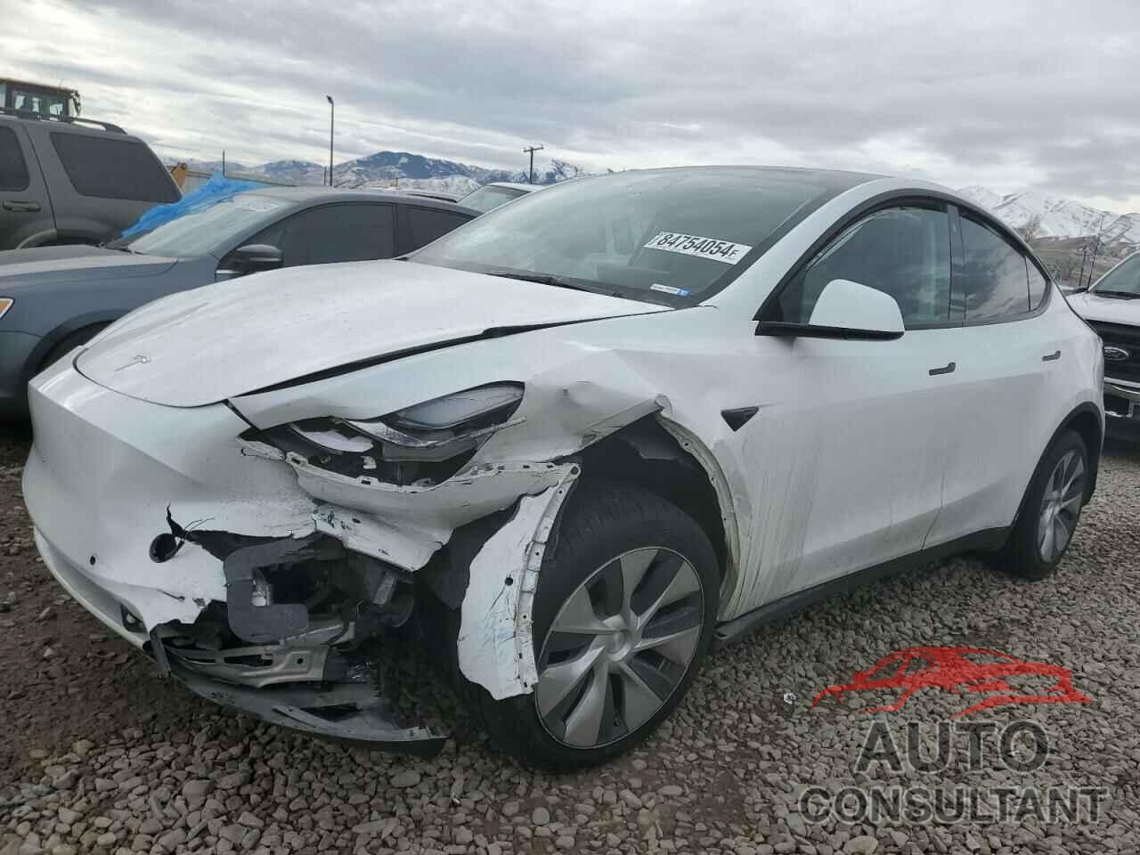 TESLA MODEL Y 2021 - 5YJYGDEE8MF192334
