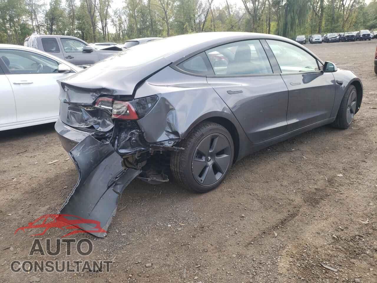 TESLA MODEL 3 2023 - 5YJ3E1EA9PF667828