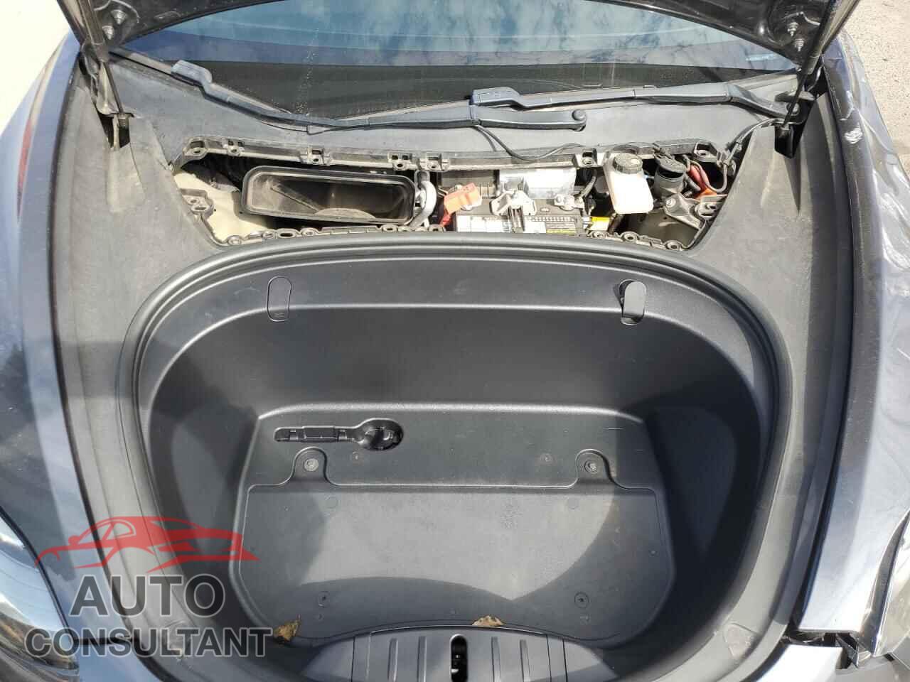 TESLA MODEL 3 2019 - 5YJ3E1EB0KF413538