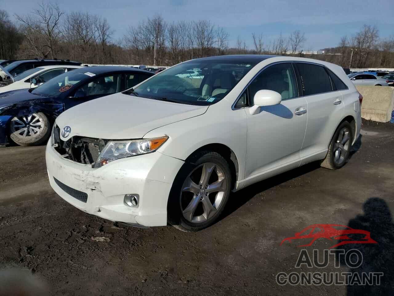 TOYOTA VENZA 2009 - 4T3BK11A89U025687