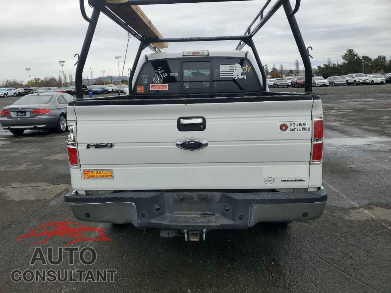 FORD F-150 2013 - 1FTFW1CF5DKD69896