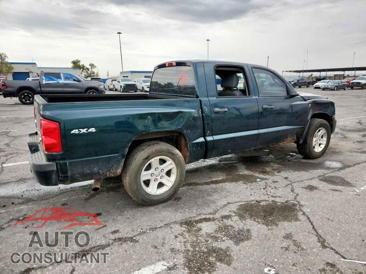DODGE DAKOTA 2011 - 1D7RW3GP4BS661845