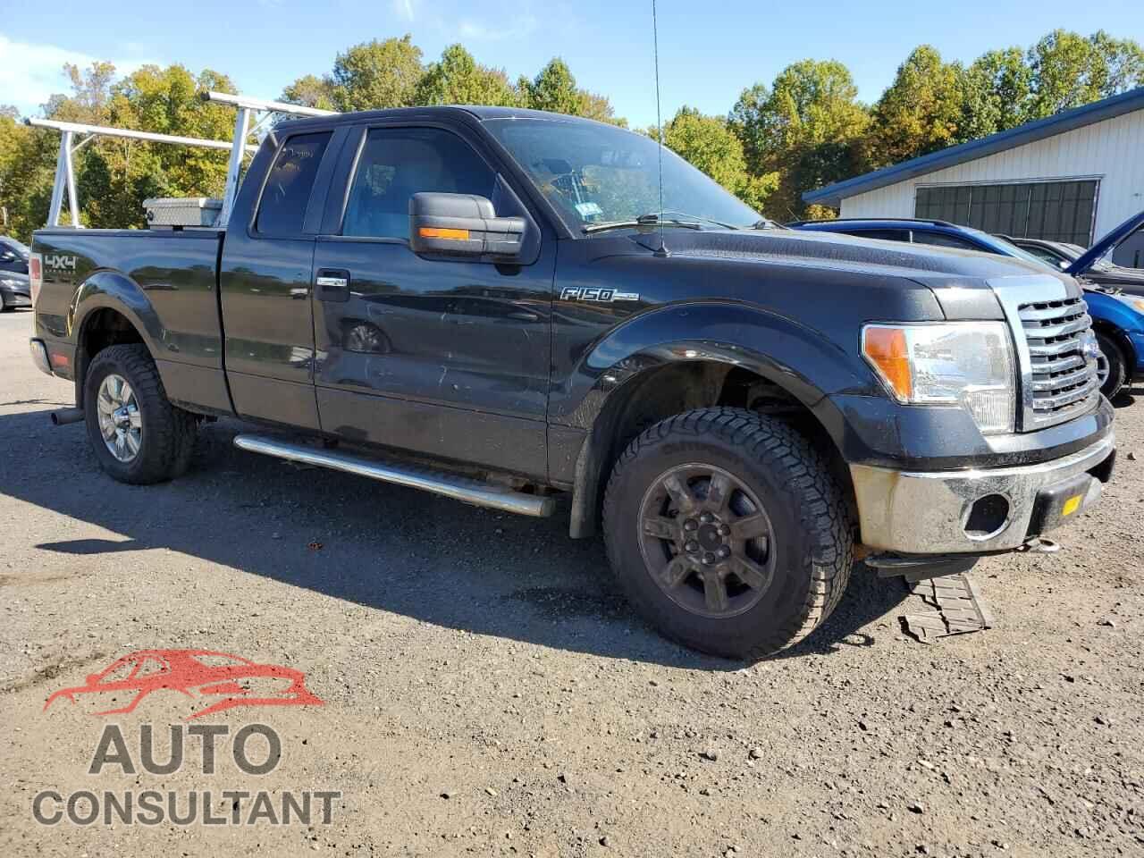 FORD F-150 2012 - 1FTFX1EF4CFA51639