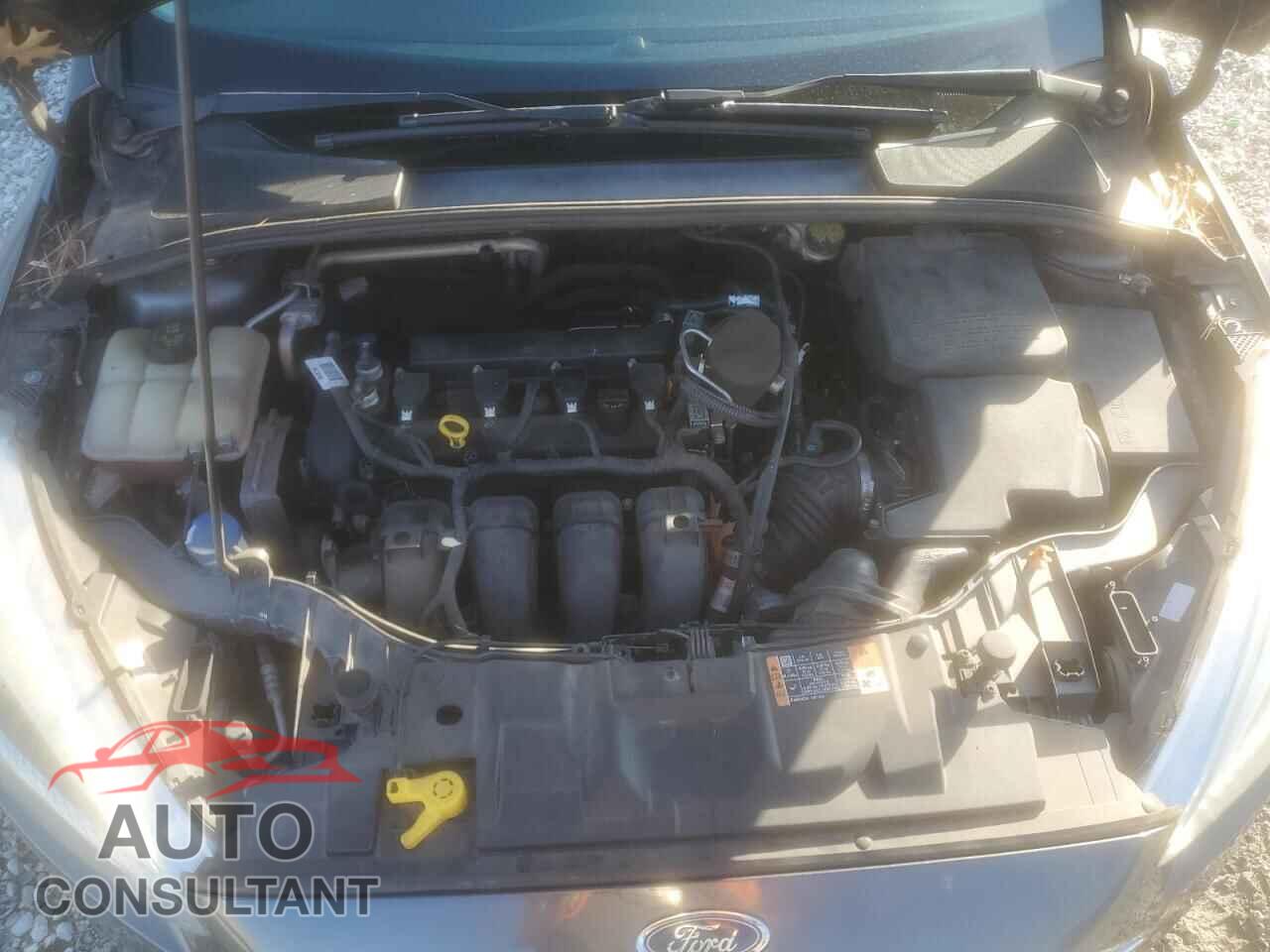 FORD FOCUS 2016 - 1FADP3E26GL224123