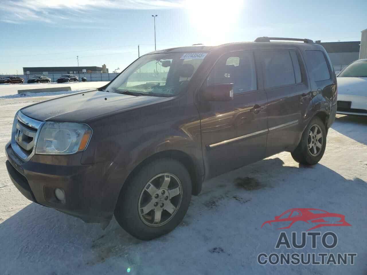 HONDA PILOT 2010 - 5FNYF4H95AB504901