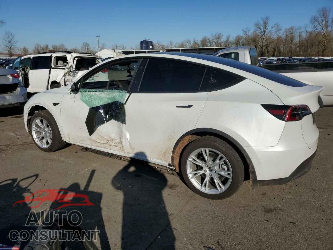 TESLA MODEL Y 2024 - 7SAYGDEE0RF044320
