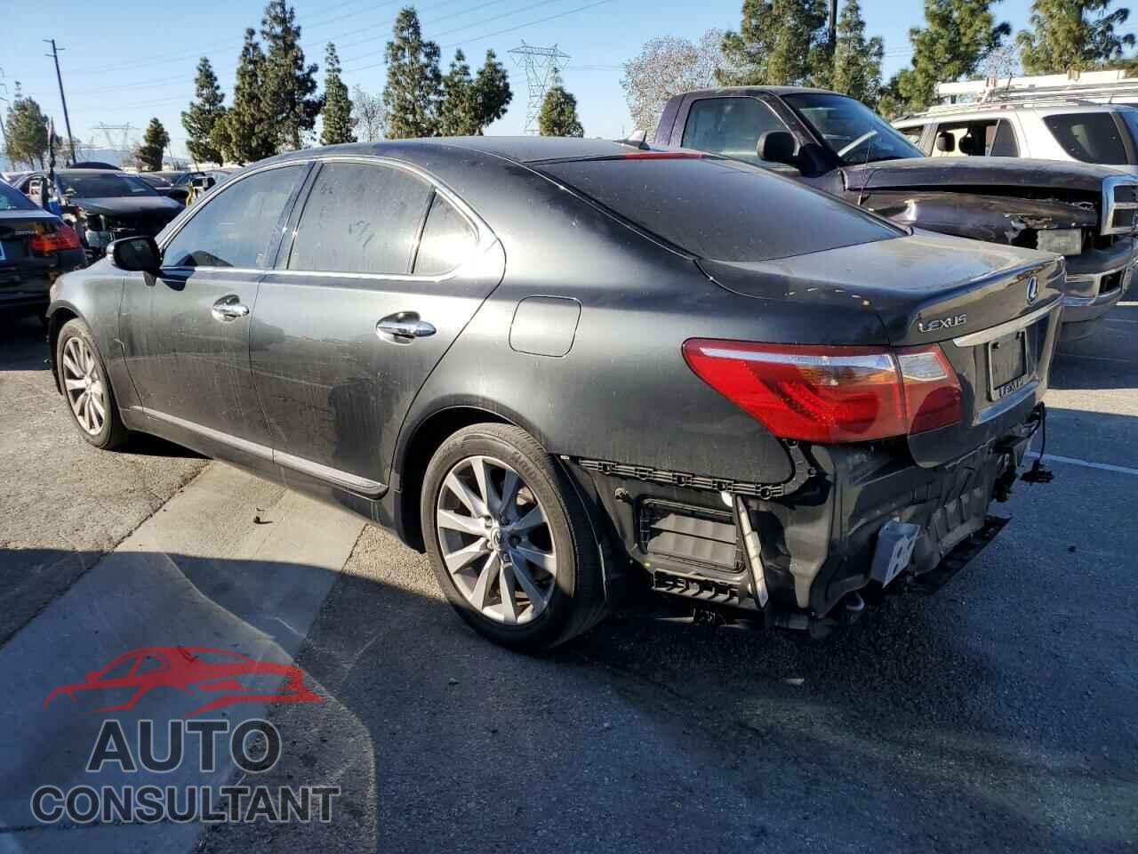 LEXUS LS460 2010 - JTHBL5EF0A5094894