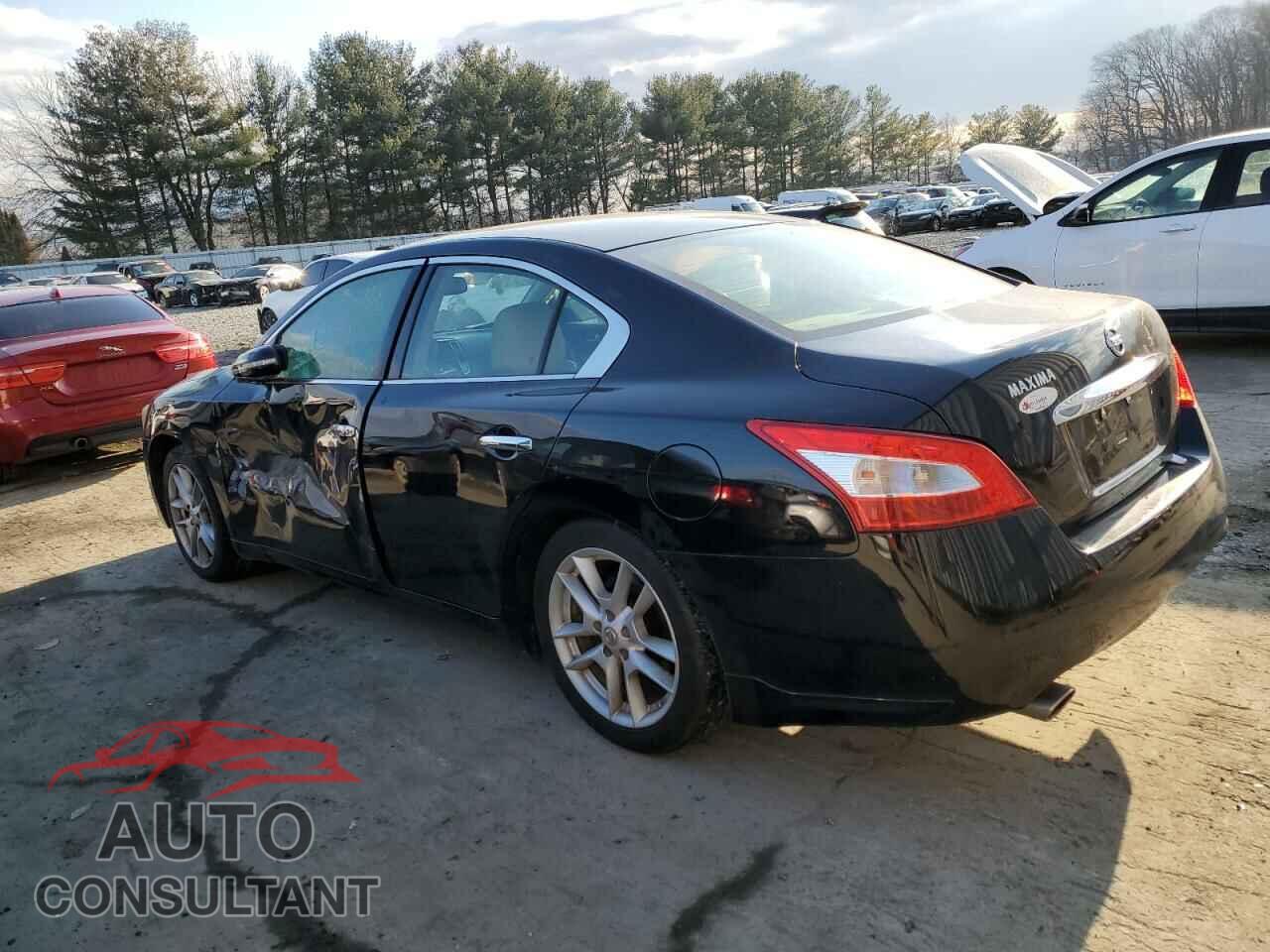 NISSAN MAXIMA 2009 - 1N4AA51E89C847360