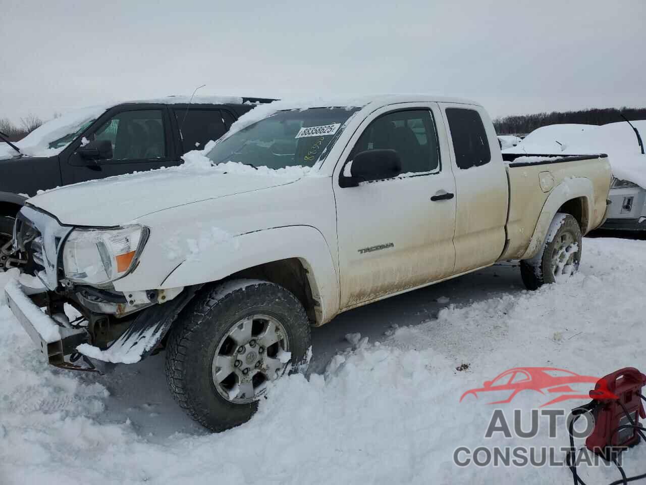 TOYOTA TACOMA 2010 - 5TEUU4EN2AZ675223
