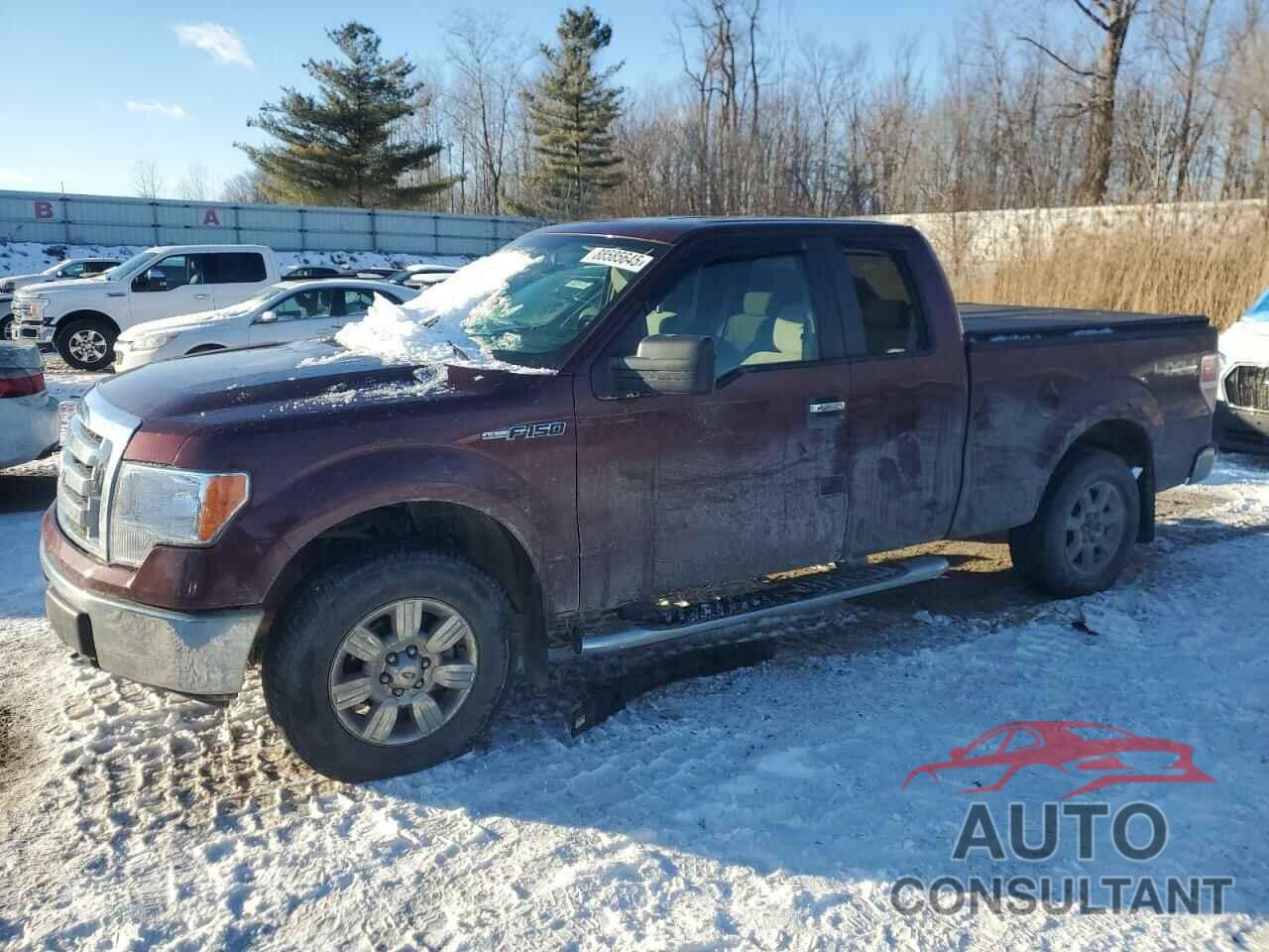 FORD F-150 2009 - 1FTRX14859FB40144