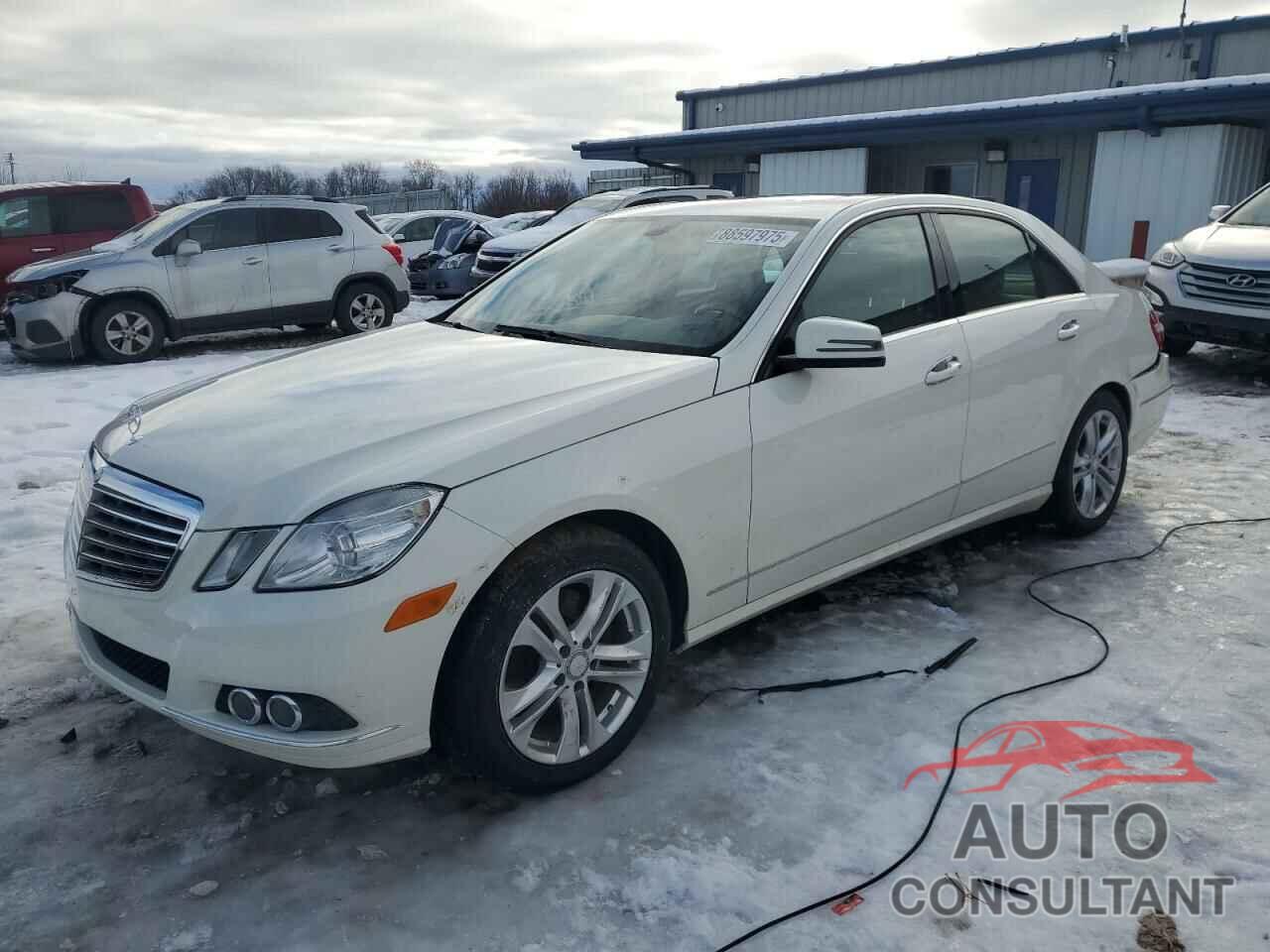 MERCEDES-BENZ E-CLASS 2010 - WDDHF8HB9AA089798