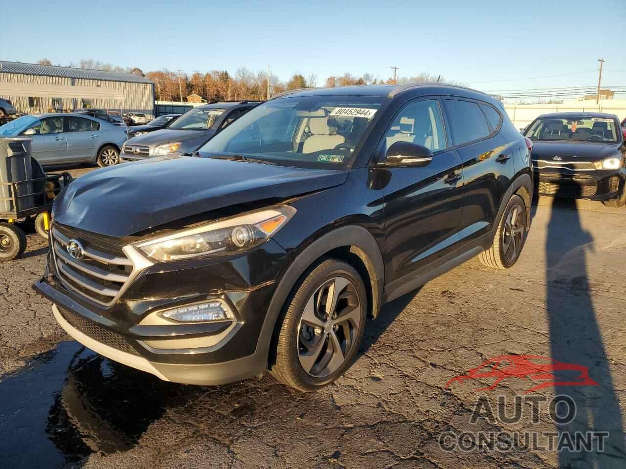 HYUNDAI TUCSON 2017 - KM8J3CA21HU298524