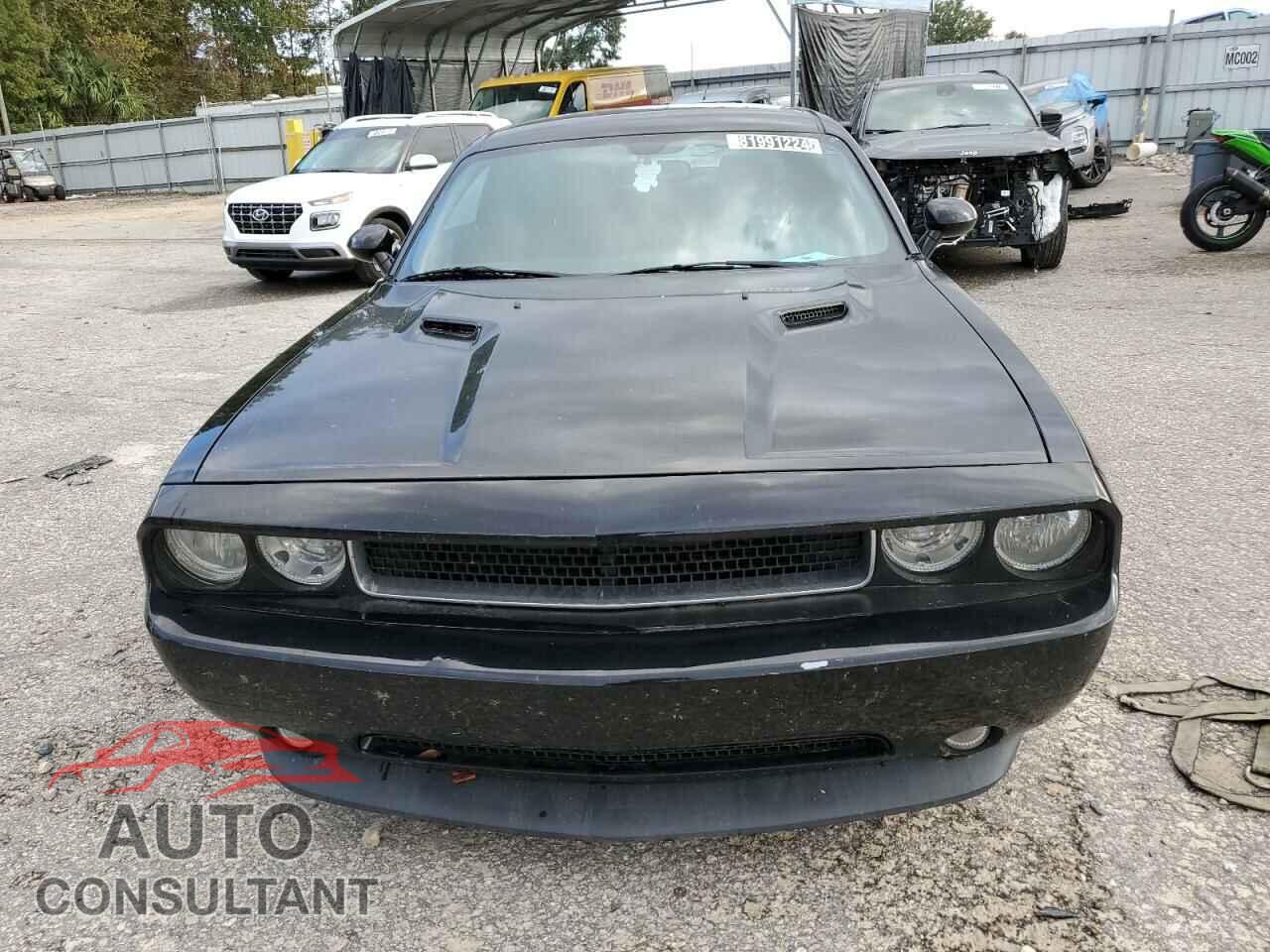 DODGE CHALLENGER 2013 - 2C3CDYAG3DH511591