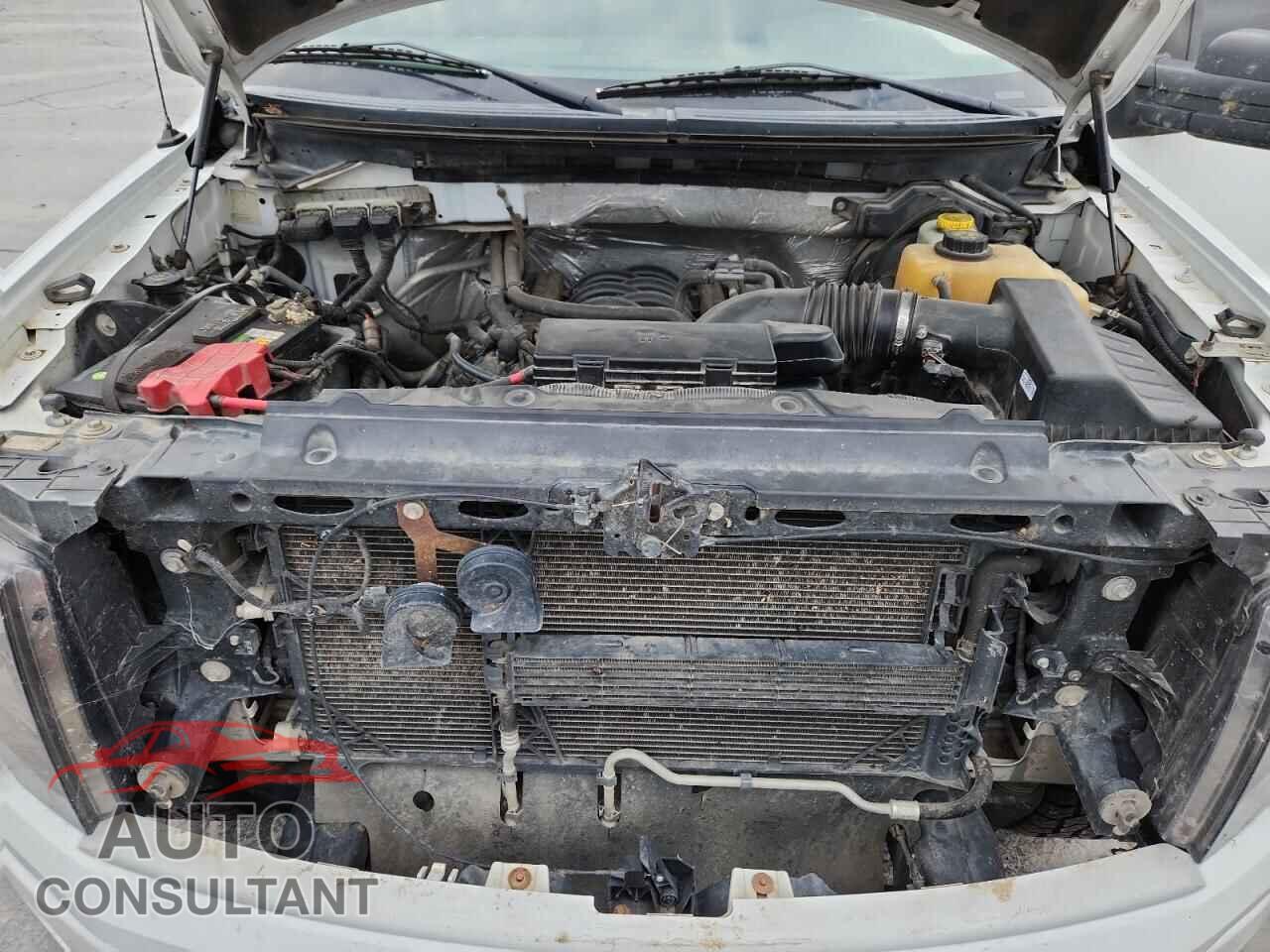 FORD All Models 2014 - 1FTMF1EF0EFC21959