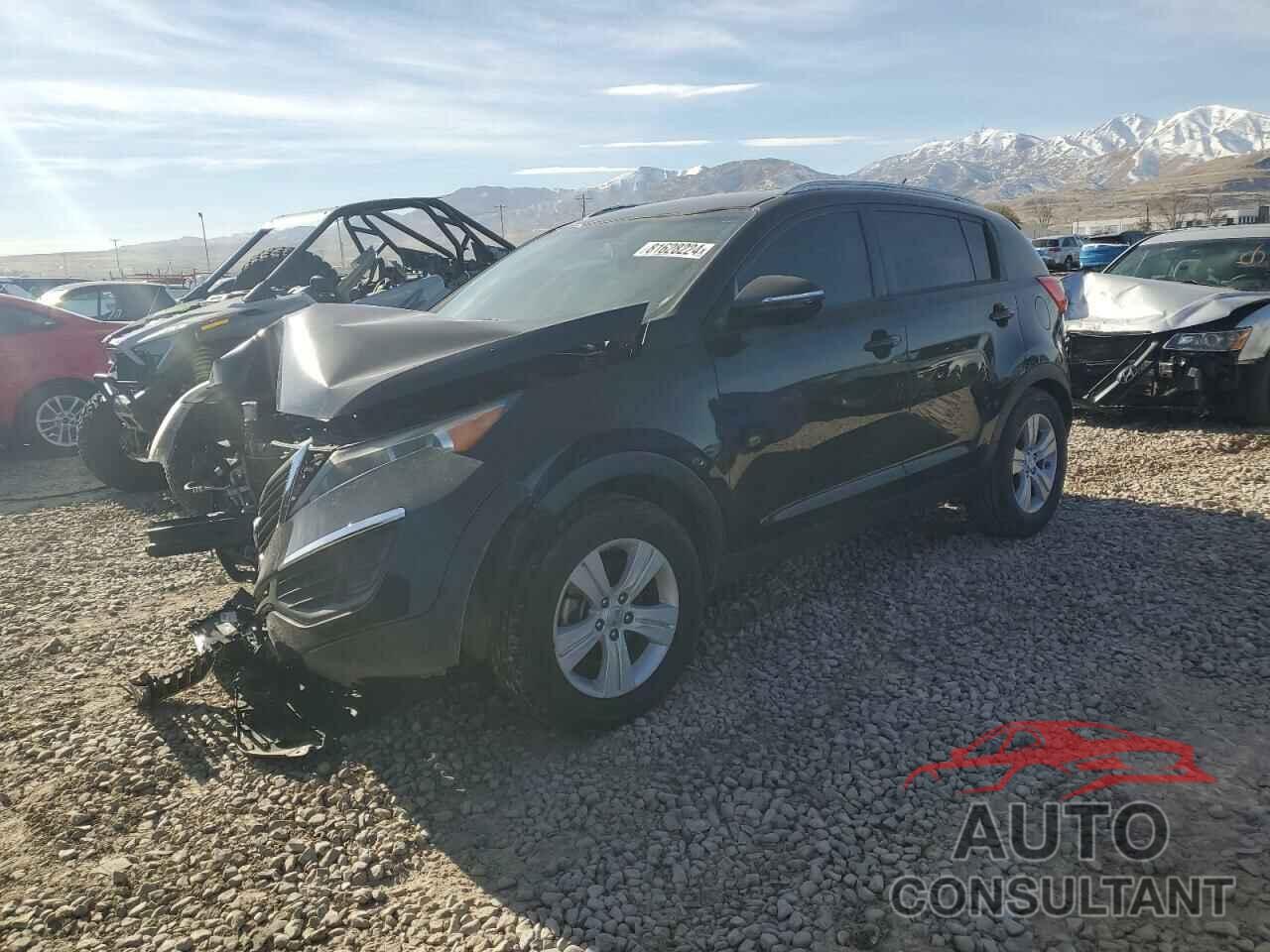 KIA SPORTAGE 2013 - KNDPB3A29D7503128