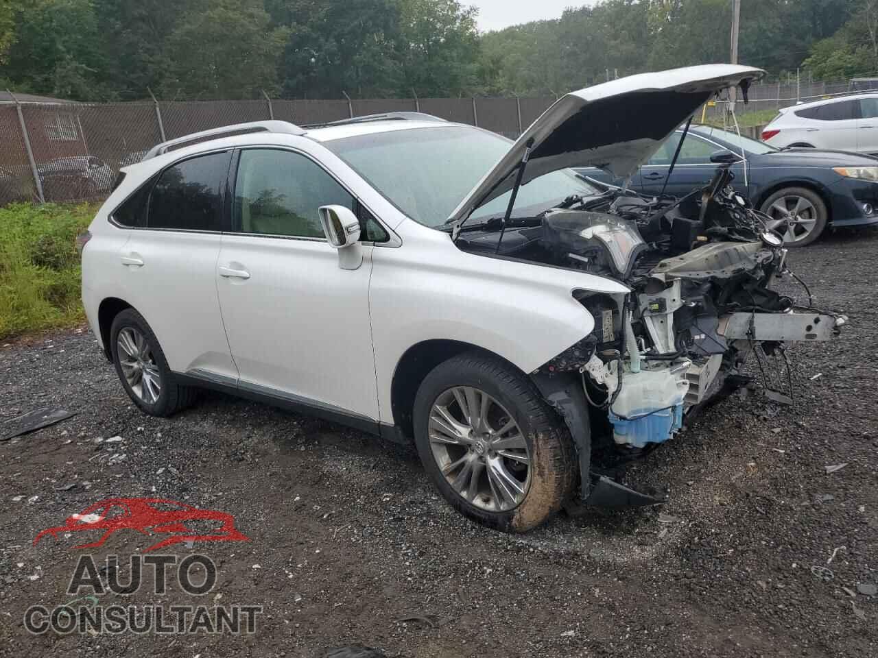 LEXUS RX350 2013 - 2T2BK1BA1DC185066