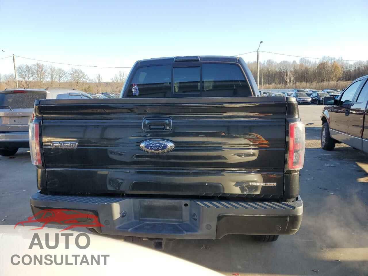 FORD F-150 2012 - 1FTFW1EF1CFC46729