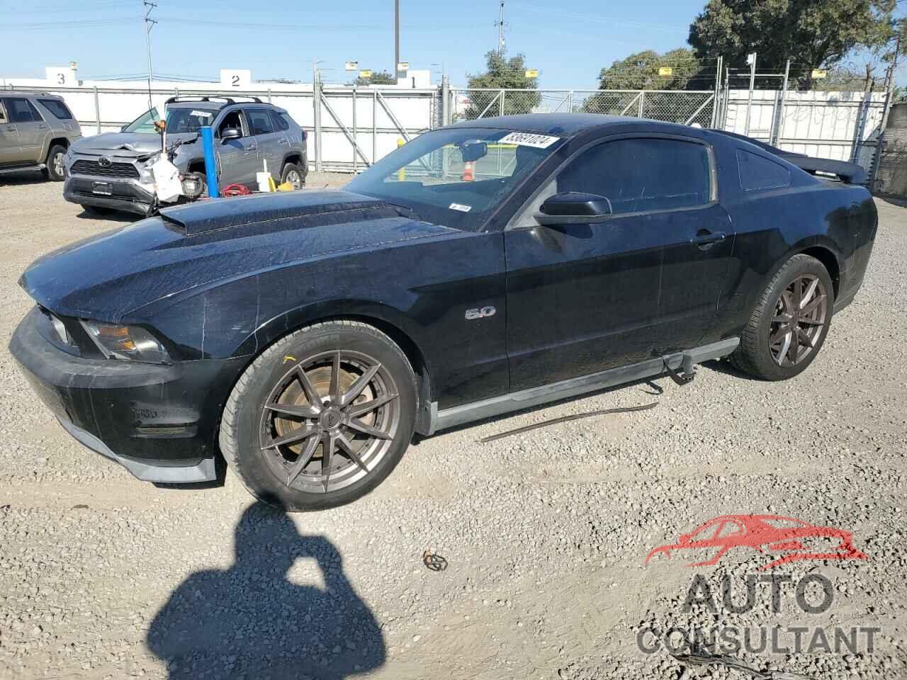 FORD MUSTANG 2011 - 1ZVBP8CF0B5131631