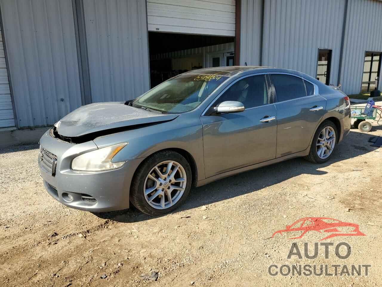 NISSAN MAXIMA 2009 - 1N4AA51E29C835866
