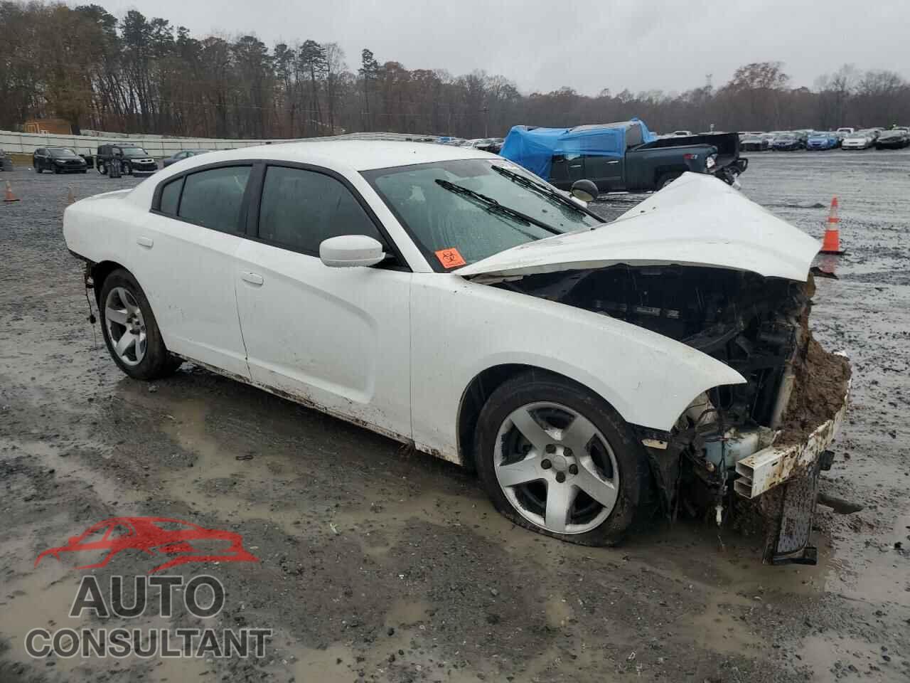 DODGE CHARGER 2013 - 2C3CDXAT2DH721090