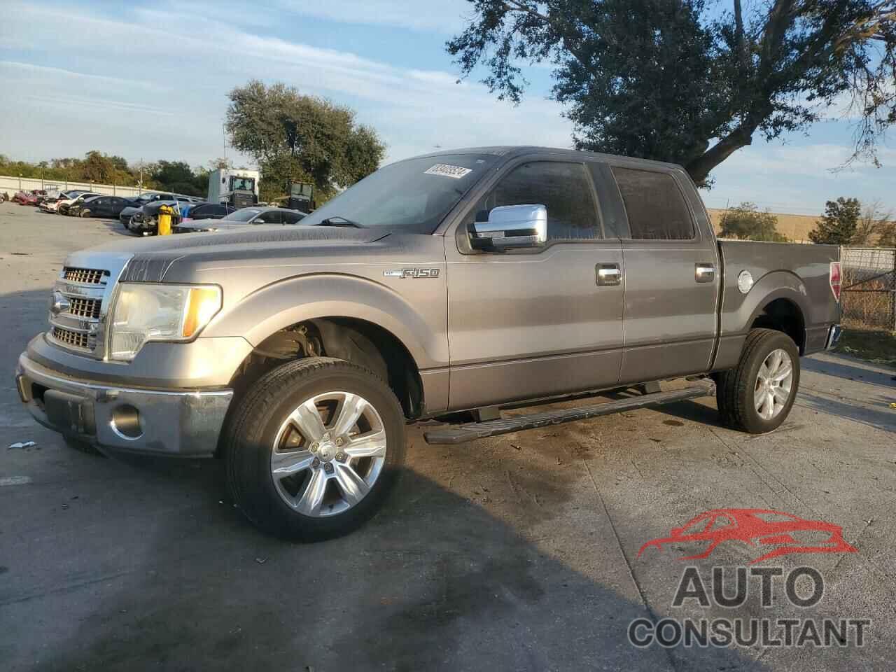 FORD F150 2013 - 1FTFW1CF7DFB46042