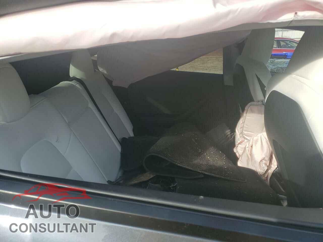 TESLA MODEL Y 2023 - 7SAYGDEE9PF788026