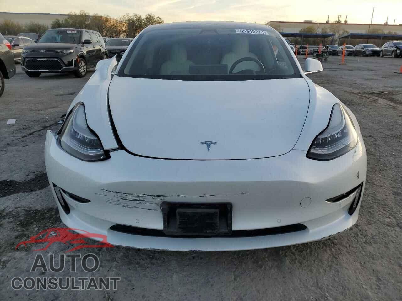 TESLA MODEL 3 2019 - 5YJ3E1EA1KF509993