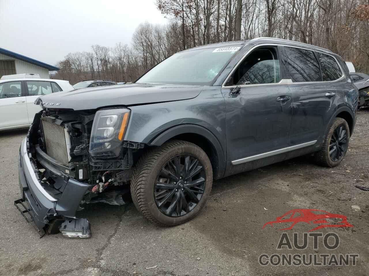 KIA TELLURIDE 2021 - 5XYP5DHC0MG127627