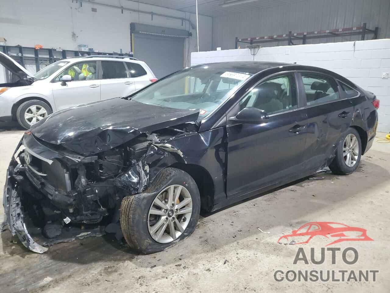 HYUNDAI SONATA 2016 - 5NPE24AF4GH312345