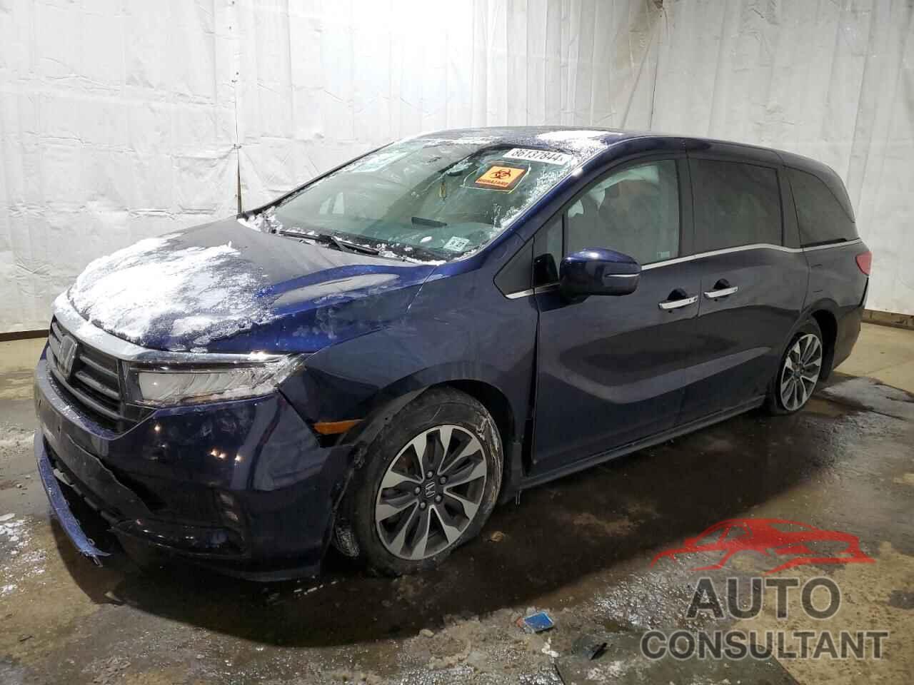 HONDA All Models 2022 - 5FNRL6H71NB031317