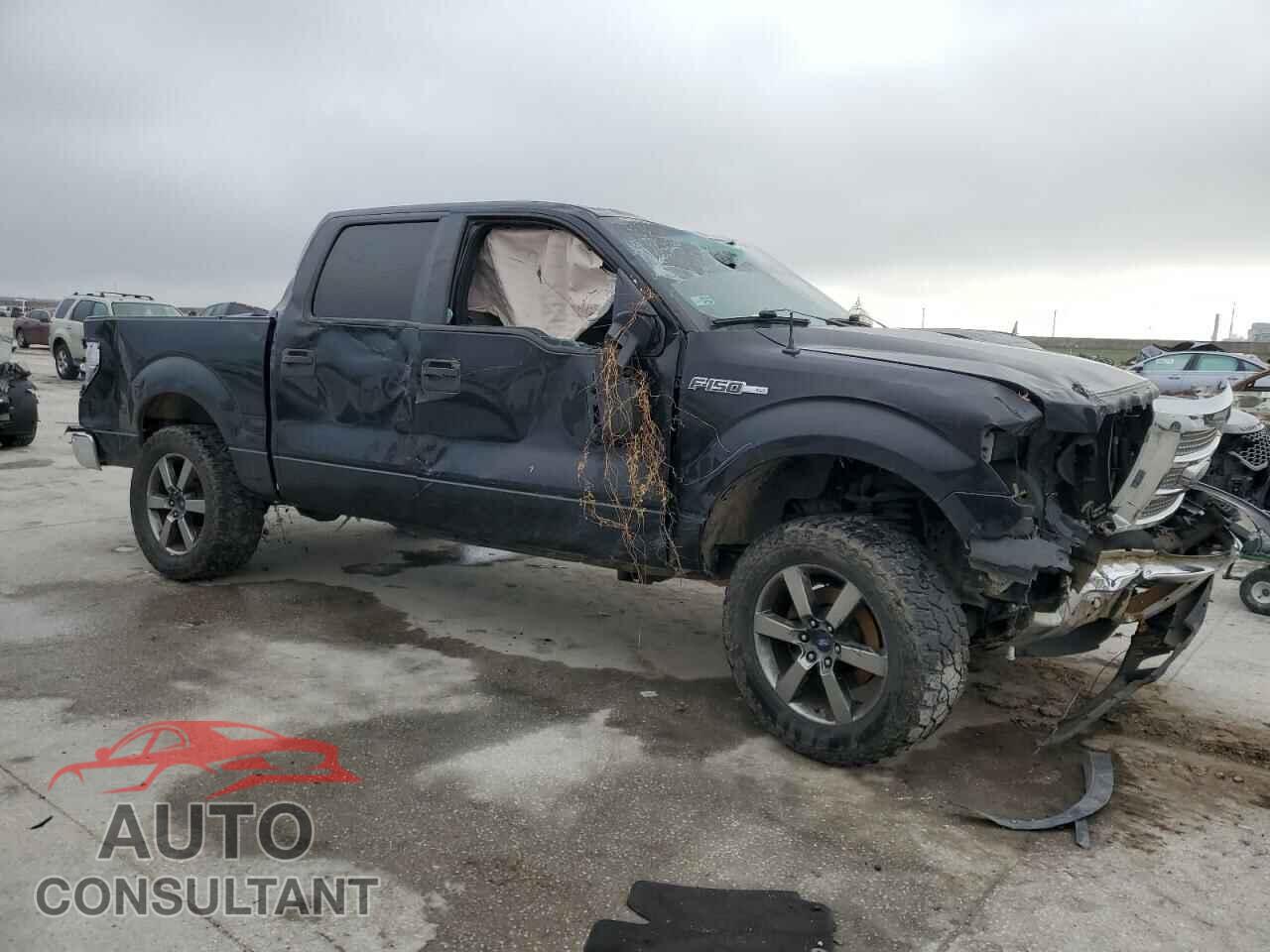 FORD F-150 2013 - 1FTFW1CF9DFB53896